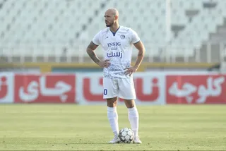 هوادار