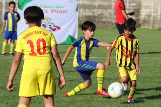 فستیوال