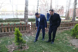 جدید