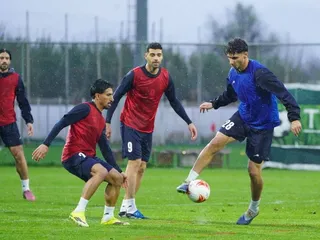 تیم ملی