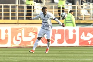 هوادار