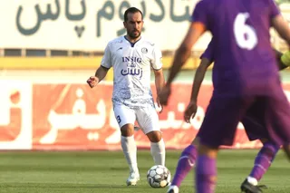 هوادار