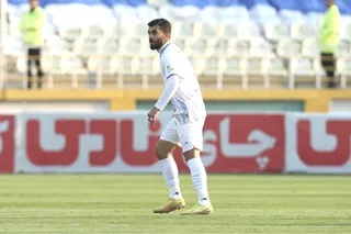 هوادار