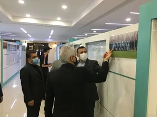 بازدید