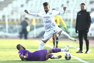 هوادار