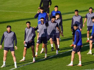 تیم ملی