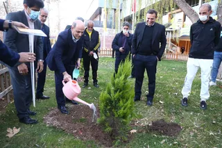 جدید