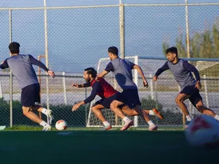 تیم ملی