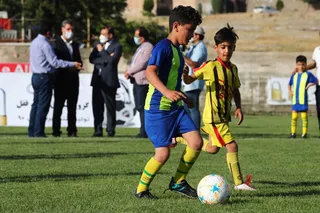 فستیوال