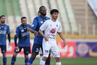 هوادار