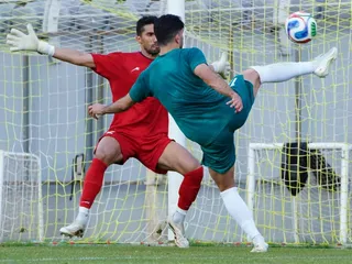 تیم ملی