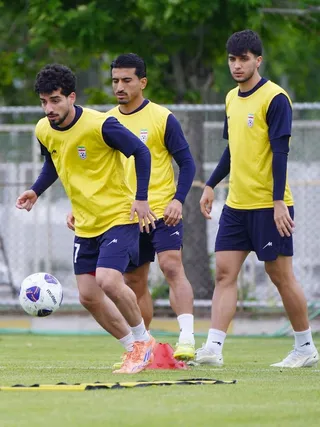 تیم ملی
