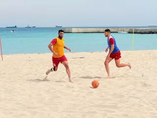رضا دیری