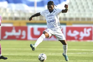 هوادار
