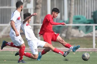  مانی