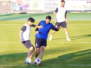 تیم ملی