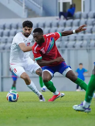تیم ملی