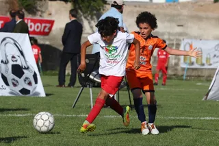 فستیوال