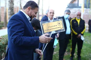 جدید