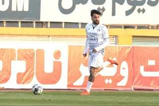 هوادار