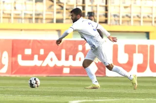 هوادار