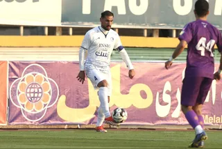 هوادار