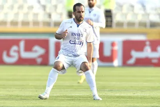 هوادار