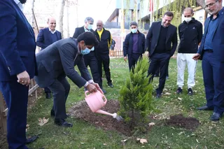 جدید