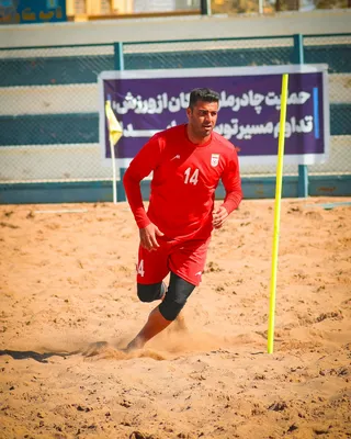 سیدعلی ناظم