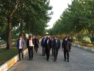 بازدید